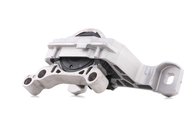 247E0687 Supporti motore RIDEX Ford
