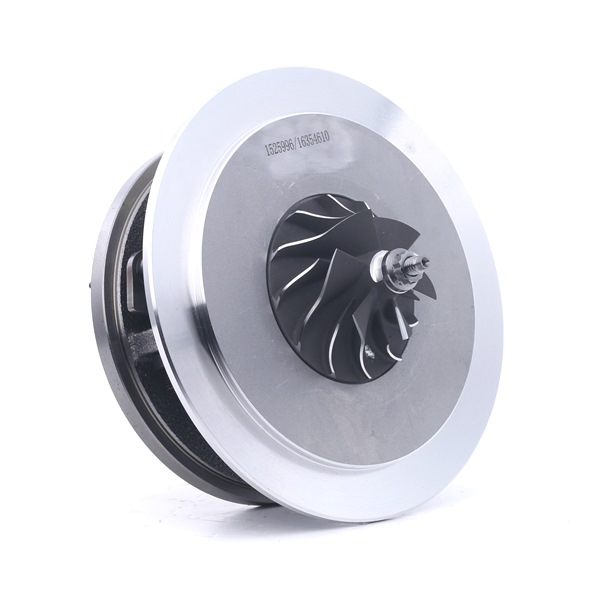 Montagesatz, Lader 4973C0113 RIDEX 7701 473 437 MERCEDES-BENZ