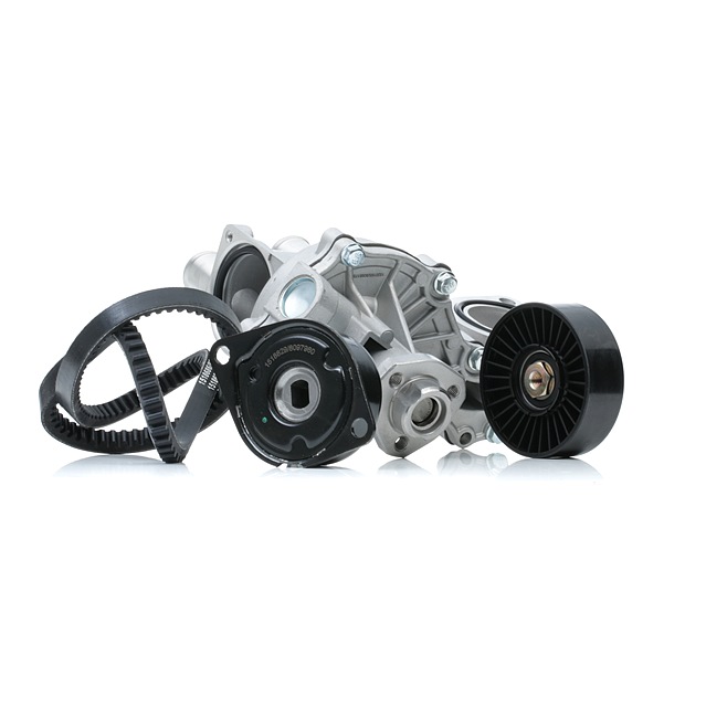 RIDEX 4172P0066 Hosszbordás szíj készlet Seat Toledo 1L 1.9 TDI 110 LE Dízel árak