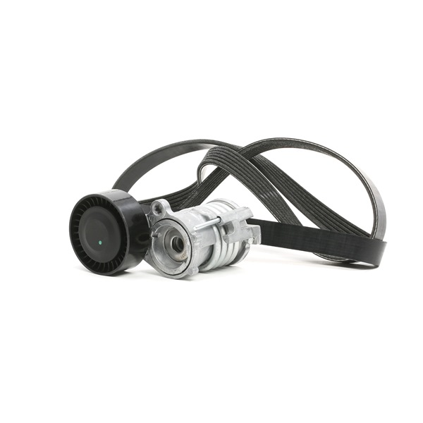 RIDEX 542R0630 Poly v riem set Polo 9N 1.2 60 Pk Benzine prijs