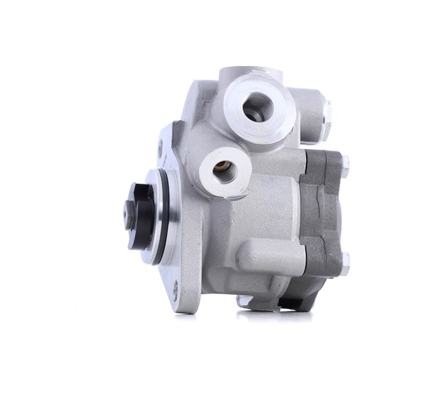 RIDEX 12H0295 Servopumpe