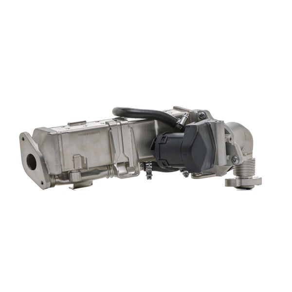 RIDEX 4198E0078 Module-EGR