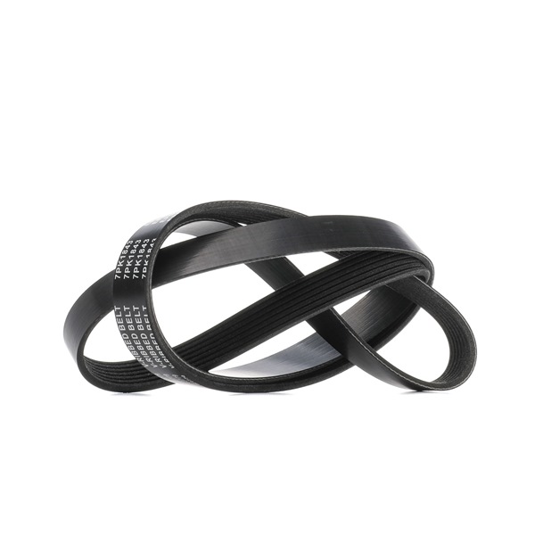 RIDEX 305P0496 Ķīļrievu siksna