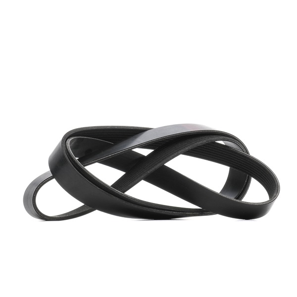 RIDEX 305P0497 Courroie Poly-V