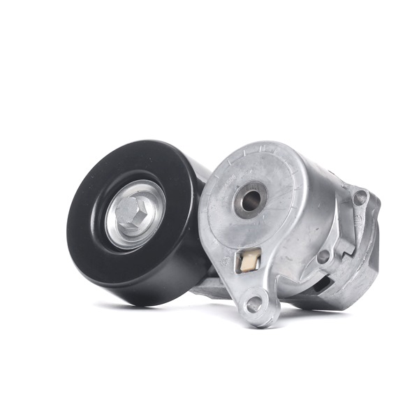 310T0444 RIDEX Strammerull Mitsubishi billige