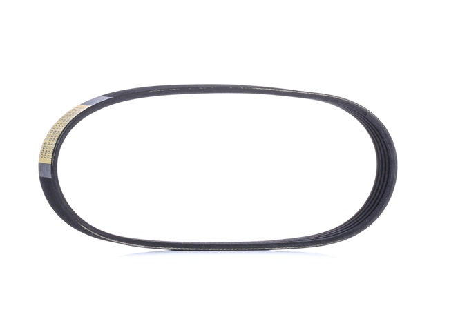 RIDEX 305P0498 Soonrihm