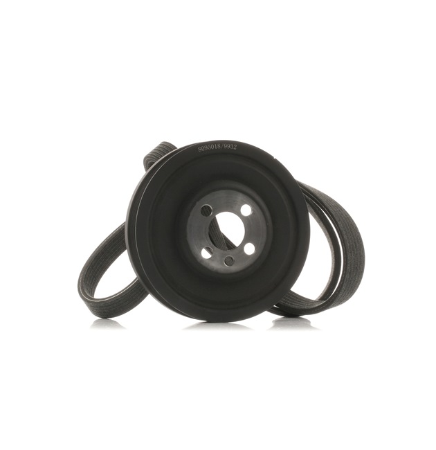 Drivremssats 542R0648 RIDEX 03 G10 5243 RENAULT