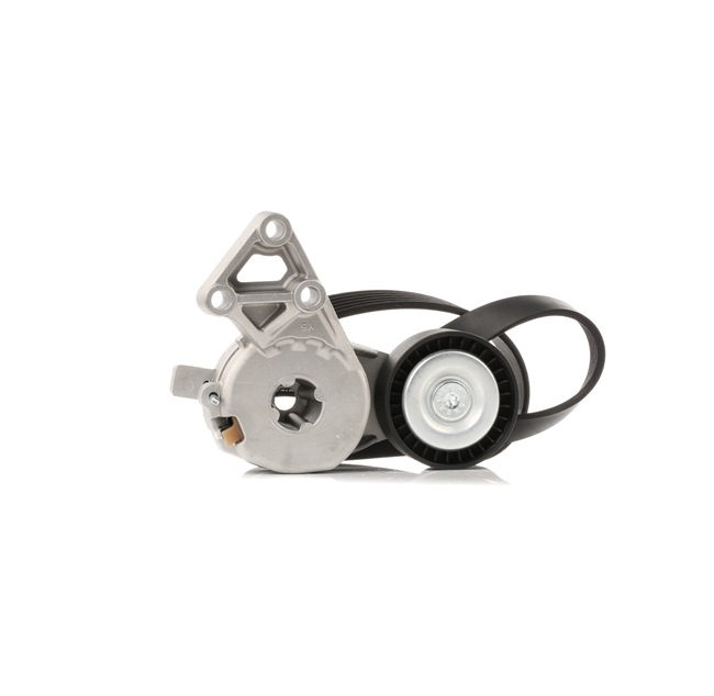 RIDEX 542R0649 Hosszbordás szíj készlet Seat Toledo 2 1.8 20V 125 LE Benzin árak