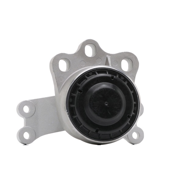 RIDEX 247E0723 Mootorikinnitus Ford Tourneo Custom Buss 2.2 TDCi 100 hj Diisel hind