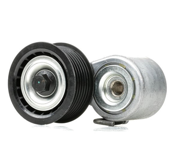 Galet tendeur de courroie d'accessoire 310T0464 RIDEX 06E 903 133 AB AUDI