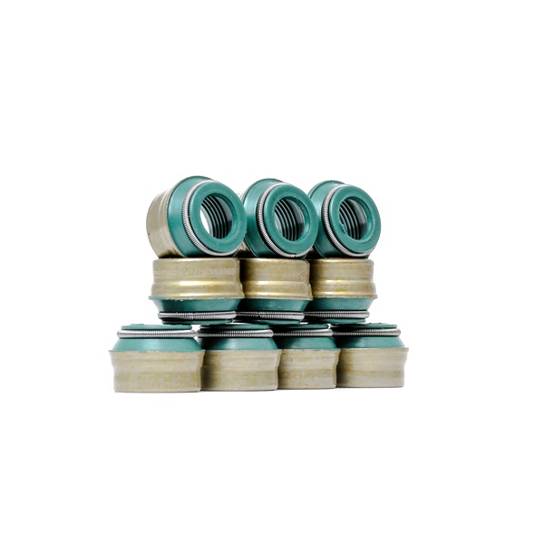 RIDEX 323S0029 Σετ στεγανοπ., στέλεχος βαλβίδας