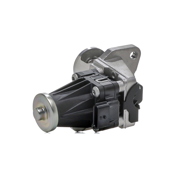 RIDEX 4198E0091 EGR modul