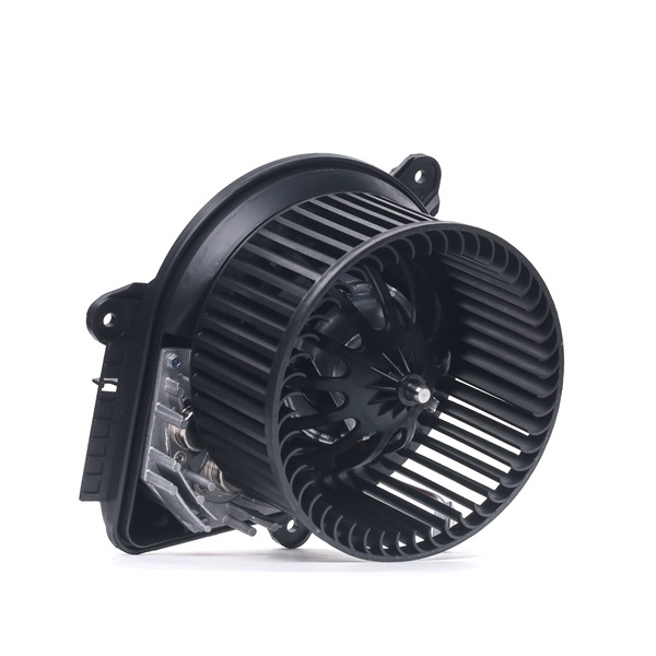 RIDEX 2669I0241 Interieurventilatie
