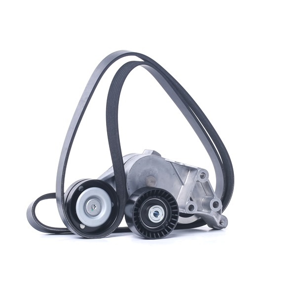 RIDEX 542R0660 Keilrippenriemensatz Audi A3 8L 1.9 TDI 110 PS Diesel Kosten