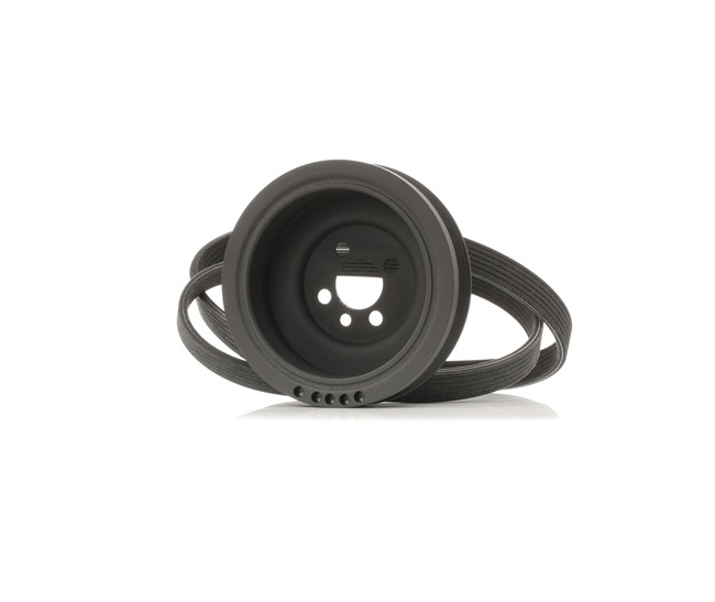 Drivremssats 542R0661 RIDEX 03G-105-243 FORD