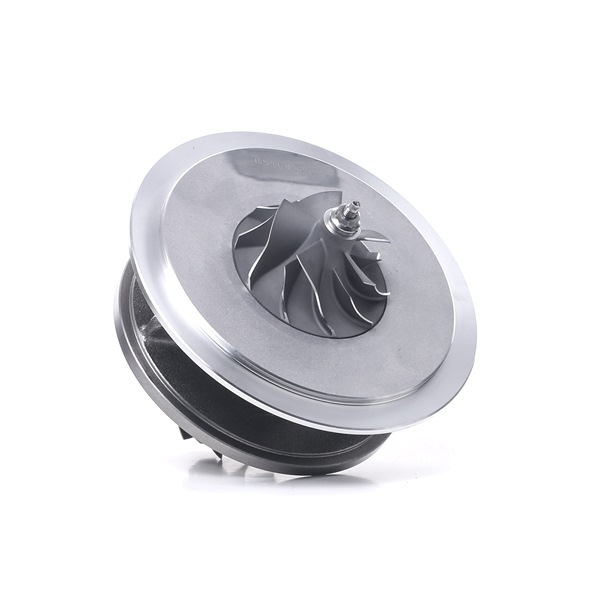 Montagesæt, lader 4973C0117 RIDEX 11 65 7 789 083E MERCEDES-BENZ