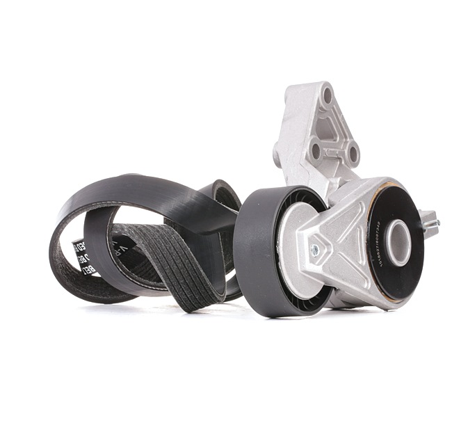 RIDEX 542R0664 Moniurahihnasarja