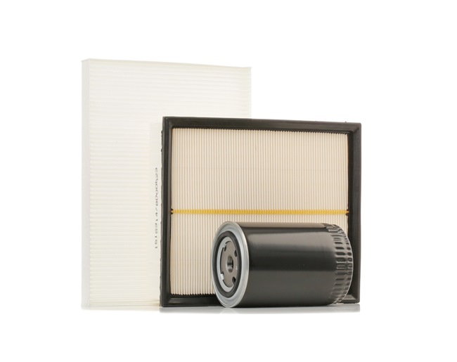 RIDEX 4055F0250 Elemento de filtro Passat B5 1.8 T 20V 150 cv Gasolina preço