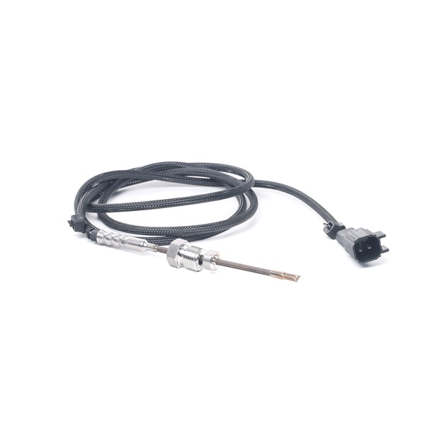 RIDEX 3938E0184 Abgastemperatursensor Ford Mondeo MK4 BA7 2.0 TDCi 136 PS Diesel Kosten