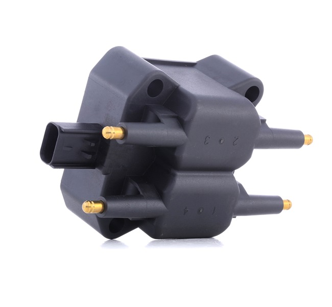 RIDEX 689C0411 Süütepool Chrysler Voyager rg 2.4 147 hj Bensiin hind