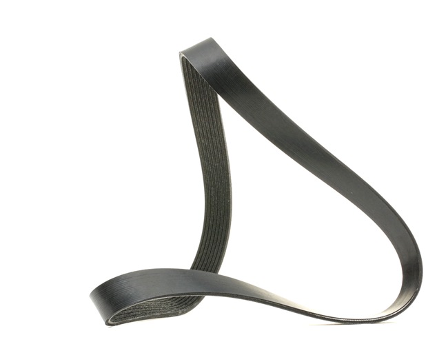 Courroie Poly-V 305P0523 RIDEX A 113 997 01 92 Volkswagen
