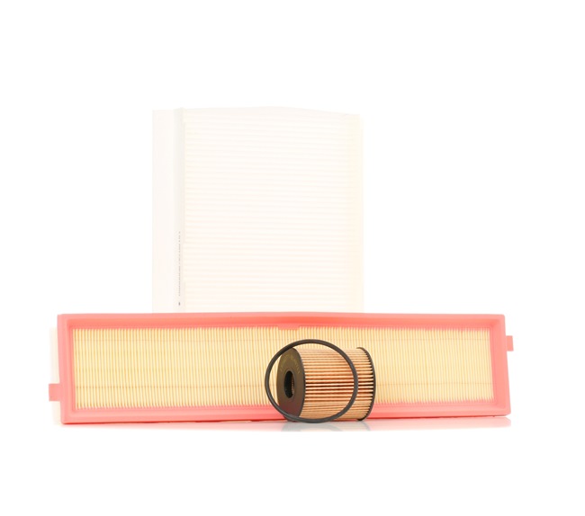 RIDEX 4055F0388 Kit de filtros MINI Hatchback (R50, R53) 1.6 Cooper S 170 cv Gasolina preço