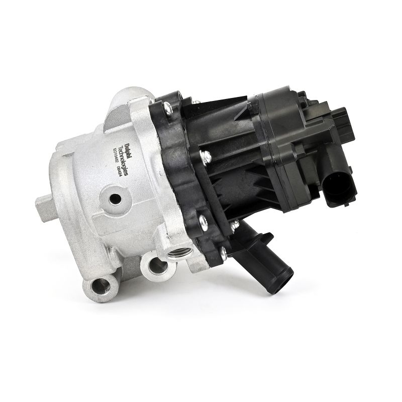 DELPHI EG10482-12B1 EGR klep