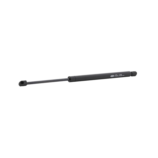 MAGNETI MARELLI 430719150500 Kofferraum Dämpfer Lexus RX XU30 300 (MCU35_) 204 PS Benzin Kosten