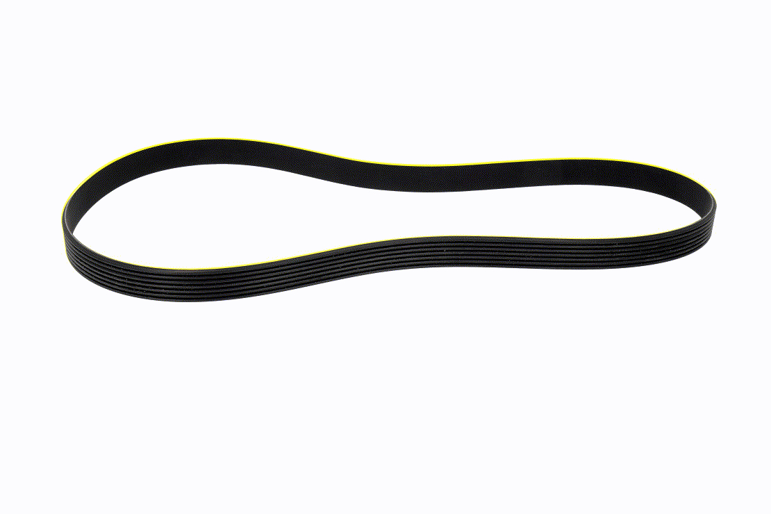 VAICO 1005174 Multiriem