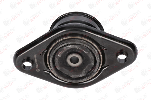 53618 Federbeinstützlager BIRTH 553252S000 HYUNDAI
