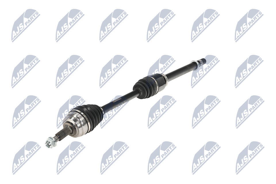 Nivelsarja, vetoakseli NPW-RE-101 NTY 8200 725 511 DACIA