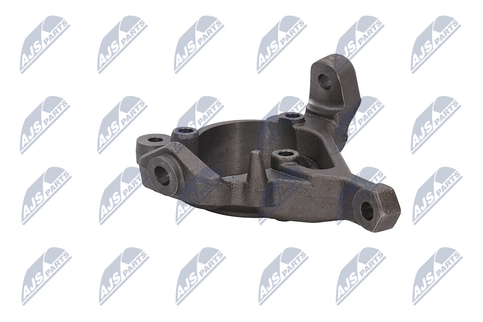 NTY ZZP-CH-009 Achsschenkel