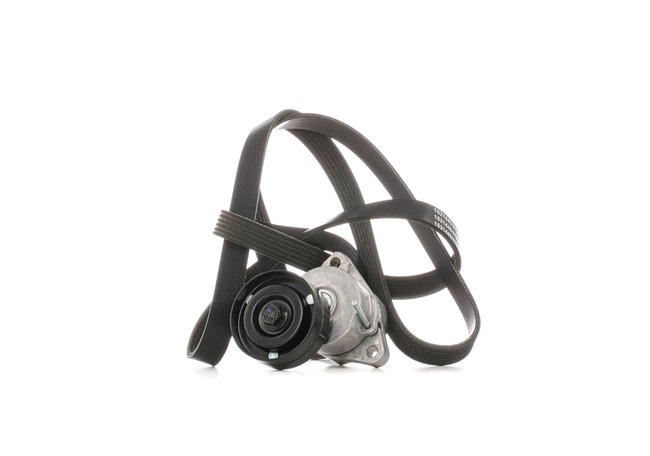 RIDEX 542R0671 V-Ribbed Belt Set