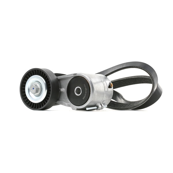 RIDEX 542R0673 V-Ribbed Belt Set