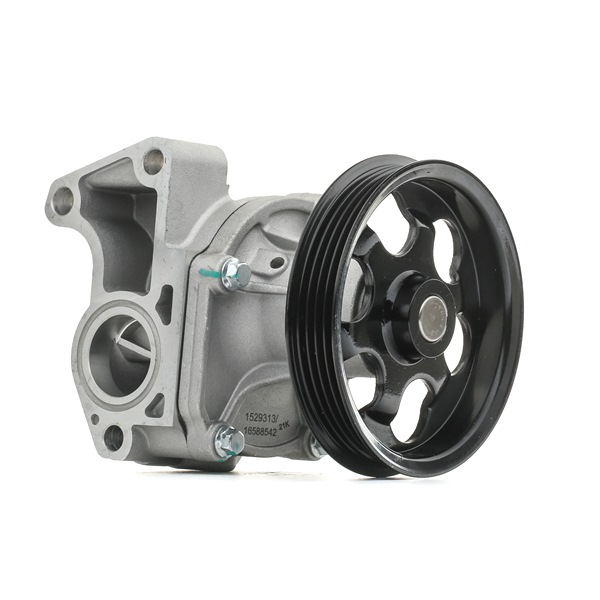 RIDEX 1260W0520 Pompe à eau