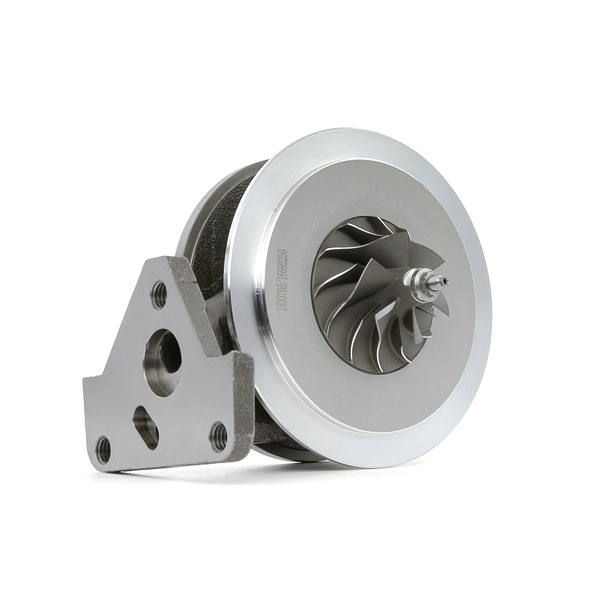 Turbodúchadlo 4973C0119 RIDEX 070145701JV FORD