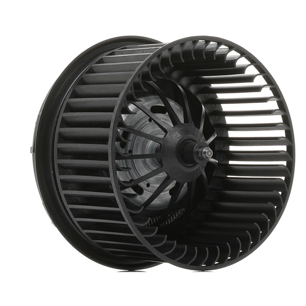 Ventilador do habitáculo 2669I0283 RIDEX 1 382 679 FORD