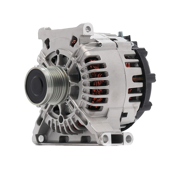 BV PSH TG15C121 Alternator 555.556.150.000
