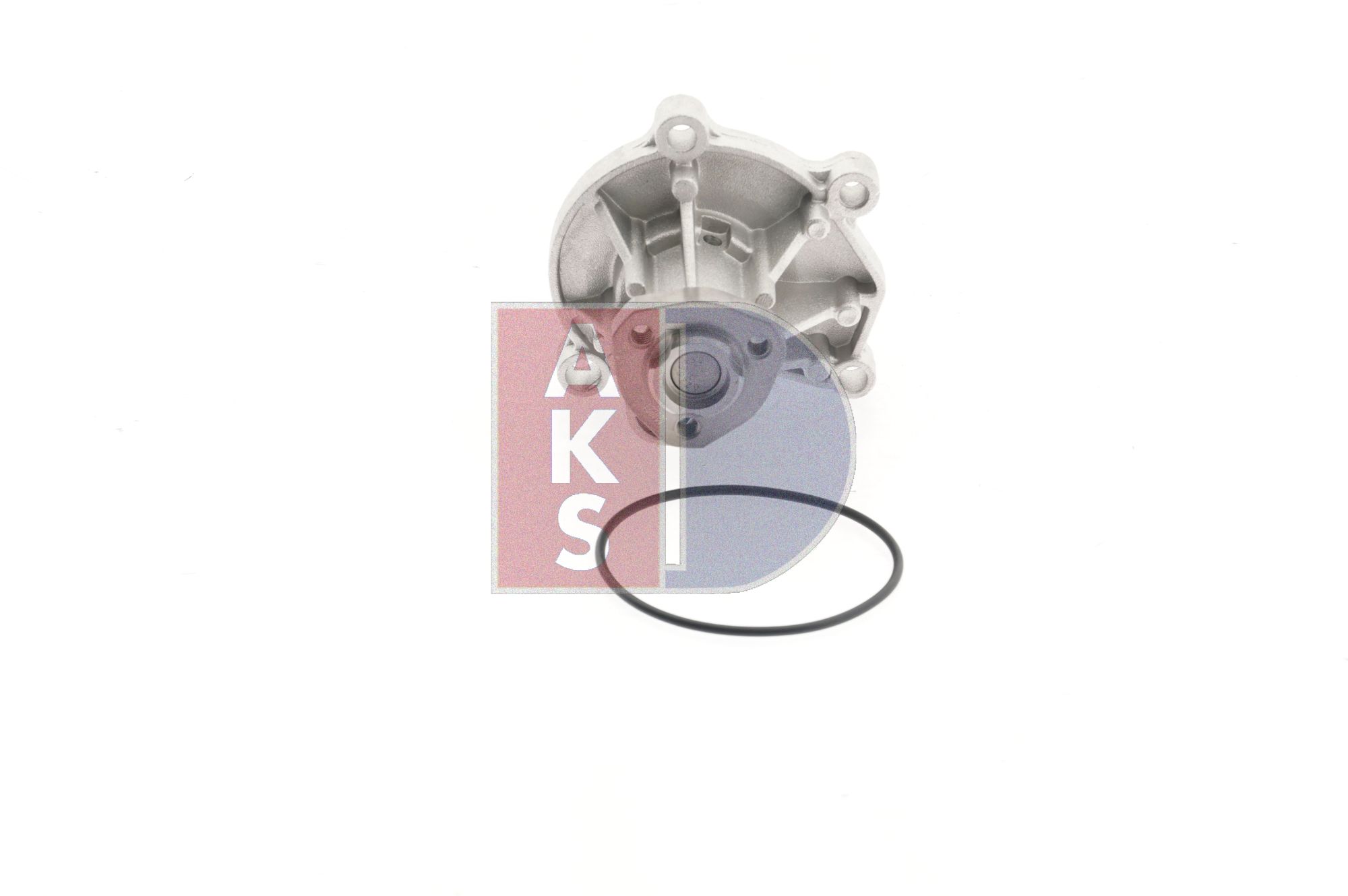 AKS DASIS 570033N Pompe à eau