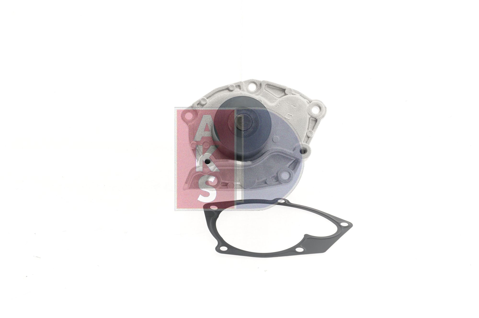 AKS DASIS 570198N Pompe à eau