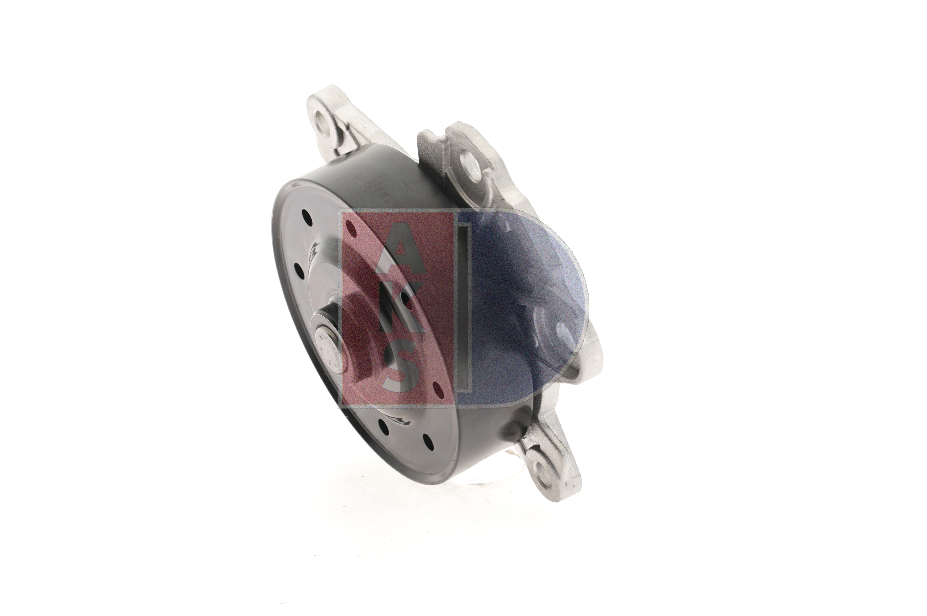 AKS DASIS 570658N Pompe à eau