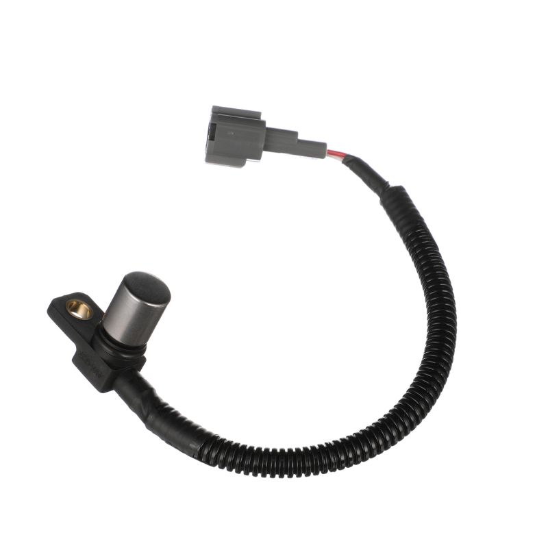 SS11481 DELPHI Krukassensor prijs