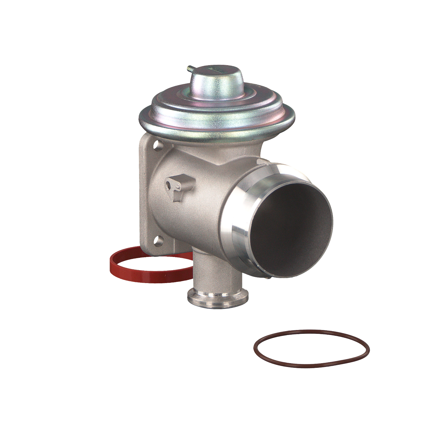 auto Válvula egr FEBI BILSTEIN 173559 comprar