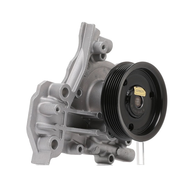 HEPU P386M Vandpumpe