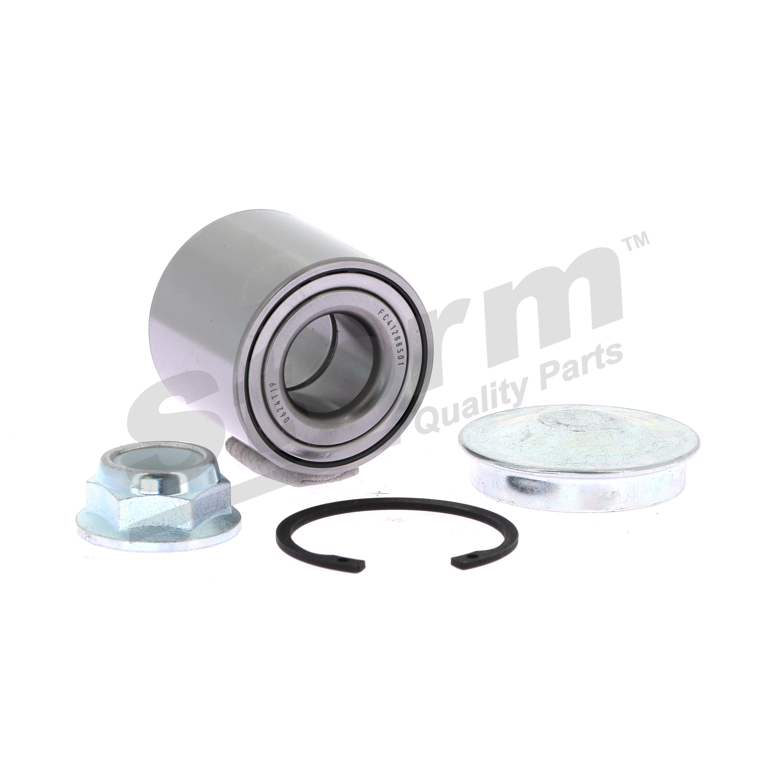 Rattalaagrikomplekt 791872 STORM QUALITY PARTS 60 40 145 940 Piduriketas 791872 STORM QUALITY PARTS 6040145940 RENAULT