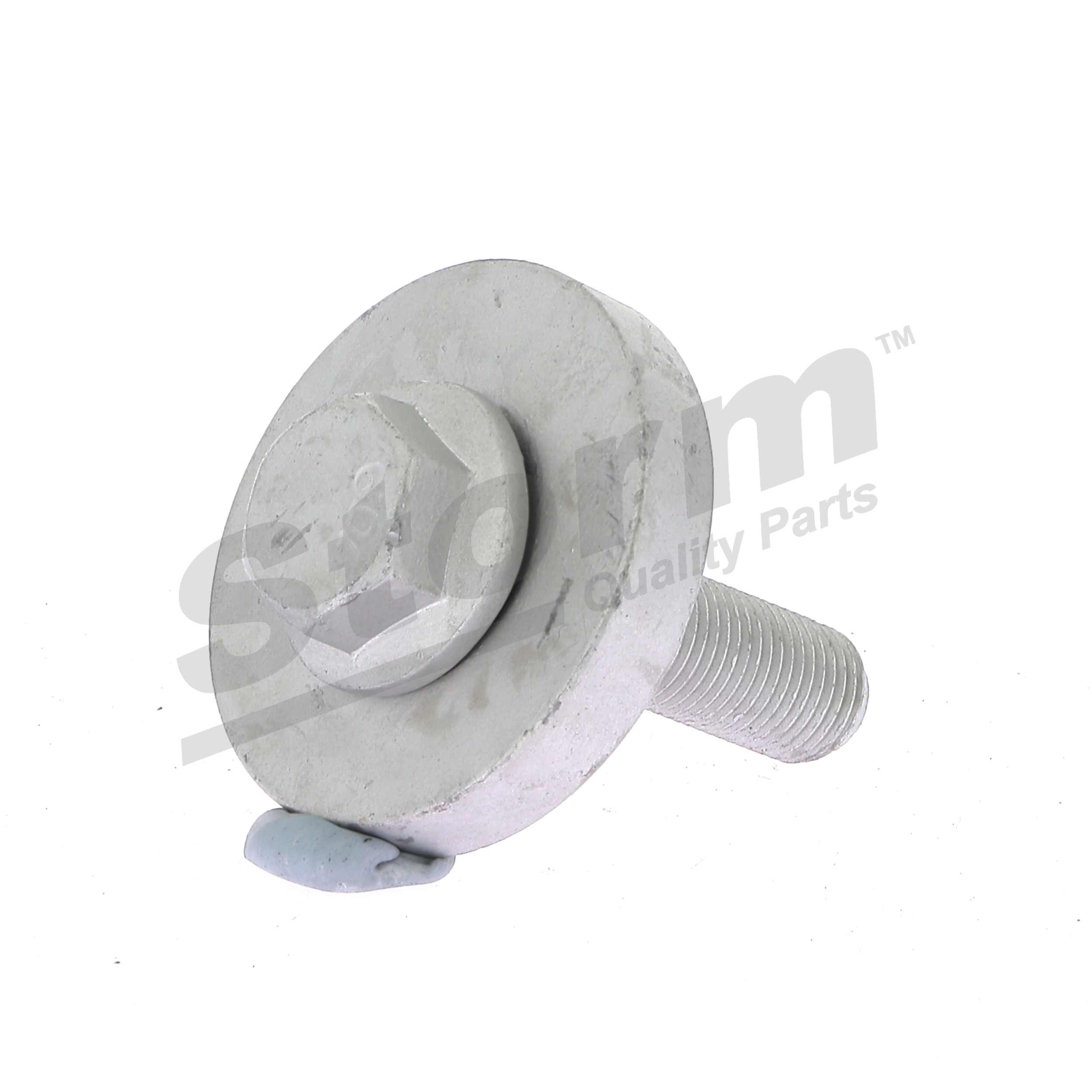 STORM QUALITY PARTS 87189KIT Piedziņas skriemeļa skrūve Renault Scenic 1 1.6 BiFuel 102 ZS Benzīns/Autogāze (LPG) cena