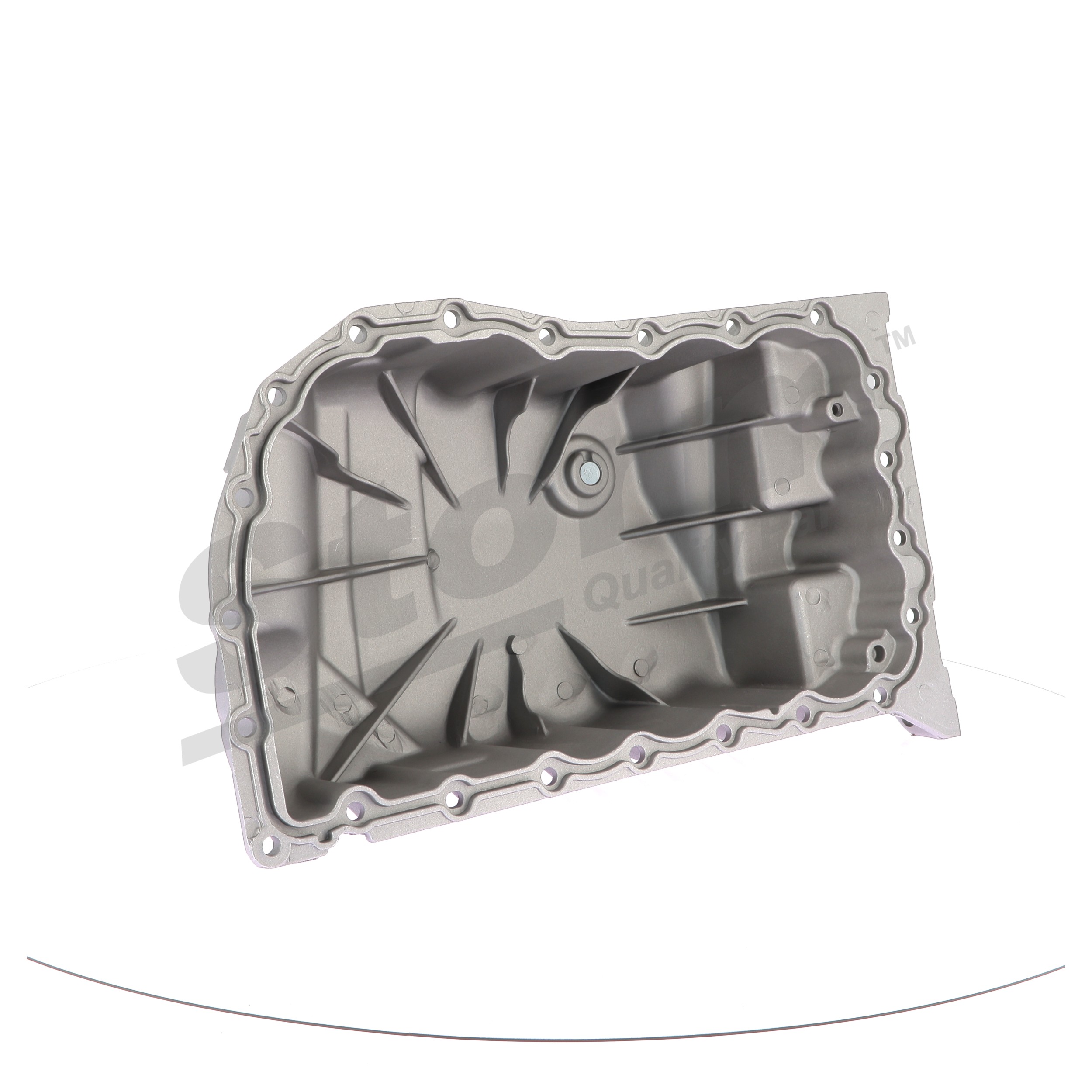 Afsluitschroef, versnellingsbakbehuizing 999006 STORM QUALITY PARTS 77 03 075 348 S1 NISSAN