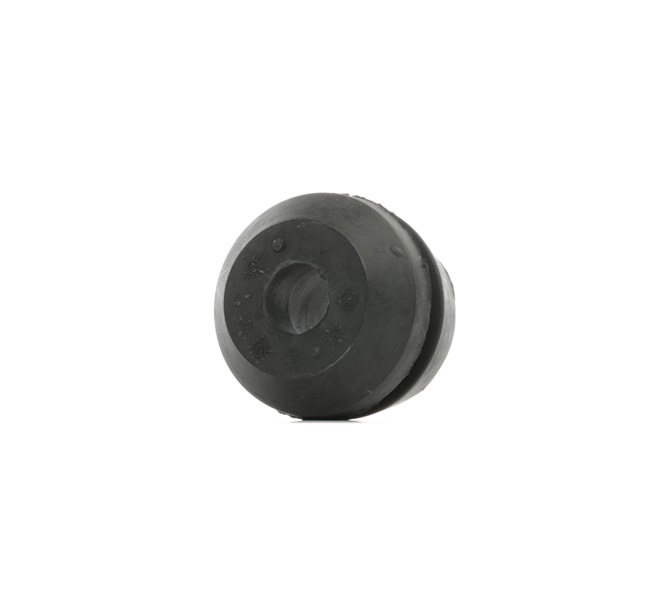 REINHOCH Ulożenie motora RH11-0010 REINHOCH RH11-0010 Silentblok motora Seat IBIZA lacné