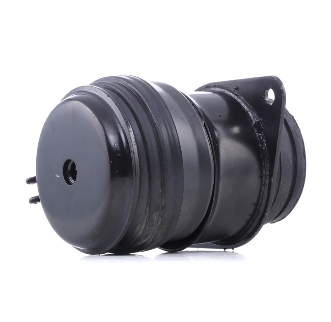 REINHOCH RH11-0107 Motora spilvens Golf 3 Universālis cena