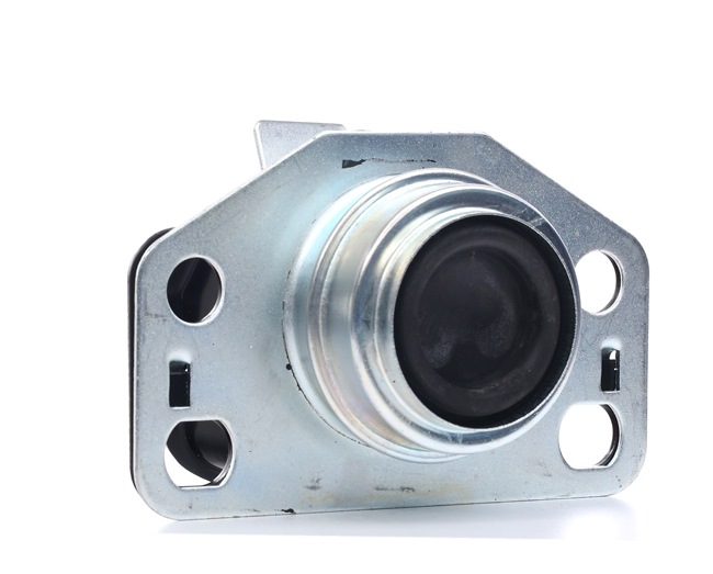 REINHOCH RH11-2131 Suporte, motor